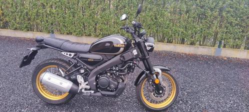 Yamaha xsr Legacy 125 cc, Motoren, Motoren | Yamaha, Particulier, Ophalen