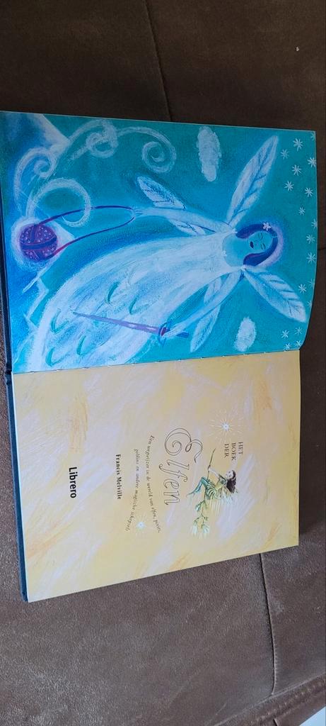Het boek der elfen, Boeken, Fantasy, Zo goed als nieuw, Ophalen of Verzenden