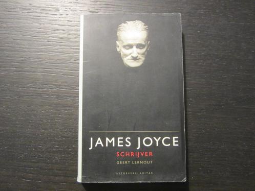James Joyce  -Schrijver-  Geert Lernout, Livres, Littérature, Enlèvement ou Envoi