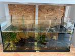 Juwel 80ltr, Dieren en Toebehoren, Ophalen, Zo goed als nieuw