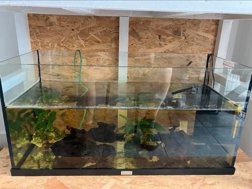 Juwel 80ltr, Dieren en Toebehoren, Vissen | Aquaria en Toebehoren, Zo goed als nieuw, Ophalen