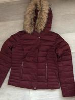 Winterjas bordeaux maat M groggy, Kleding | Dames, Jassen | Winter, Ophalen, Zo goed als nieuw, Maat 38/40 (M)