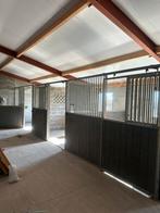 Stal te huur, 2 of 3 paarden of pony's, Weidegang