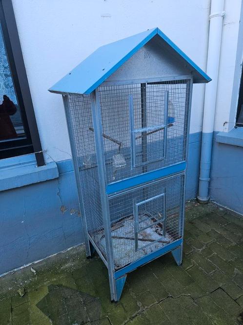 Grote kooi voor vogels of parkieten (volière), Dieren en Toebehoren, Vogels | Hokken en Kooien, Gebruikt, Volière, Metaal, Ophalen