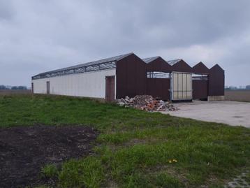 schuur / serre / loods  beschikbaar voor biedingen