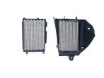 RADIATEUR GRILL R 1250 GS Adventure 2019-2023 (R1250GS 19), Utilisé