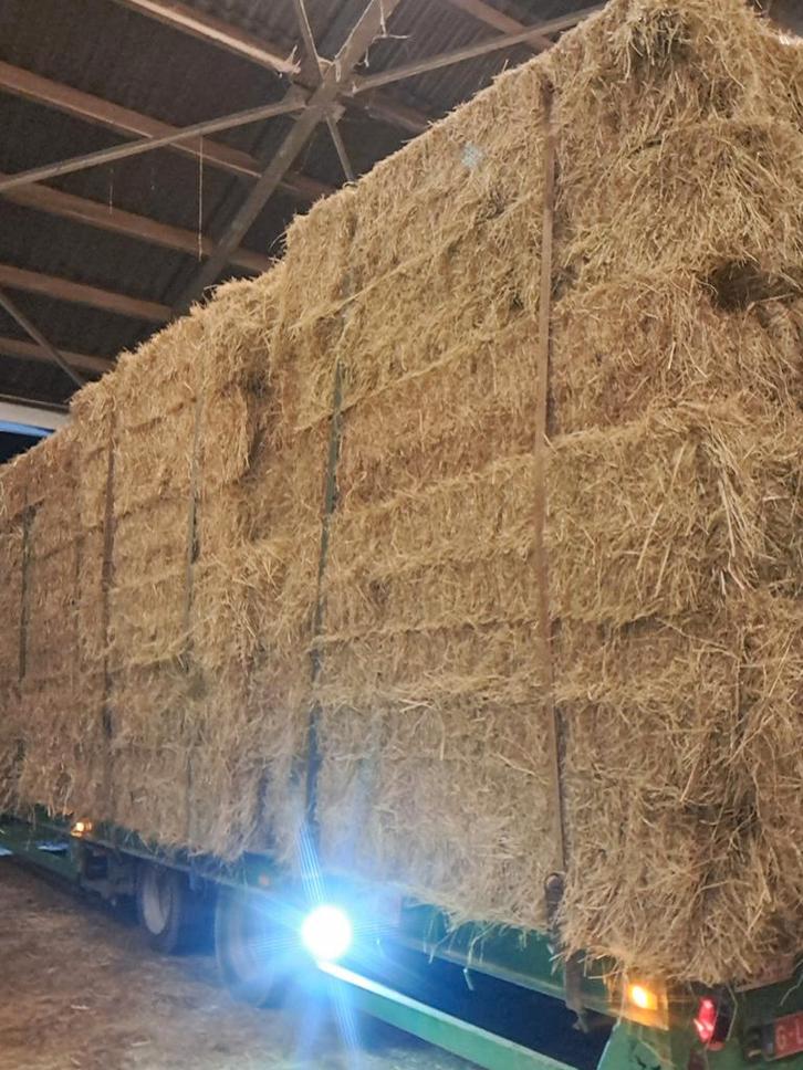Hooi,stro grote en kleine balen, Dieren en Toebehoren, Stalling en Weidegang