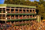 Tomorrowland W1 Exclusive Table + 3 days Comfort Pass, Meerdaags