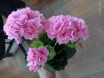 Plante fleur artificielle type géranium pélargonium rose, Maison & Meubles, Comme neuf, Intérieur, Enlèvement ou Envoi