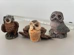 Set 6 soorten uiltjes (uit collectie), Ophalen, Zo goed als nieuw, Dier