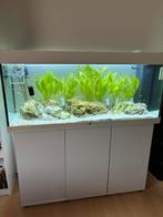 JUWEL RIO 240 LED AQUARIUM + KAST MET 3 DEUREN, Dieren en Toebehoren, Vissen | Aquaria en Toebehoren, Ophalen, Zo goed als nieuw