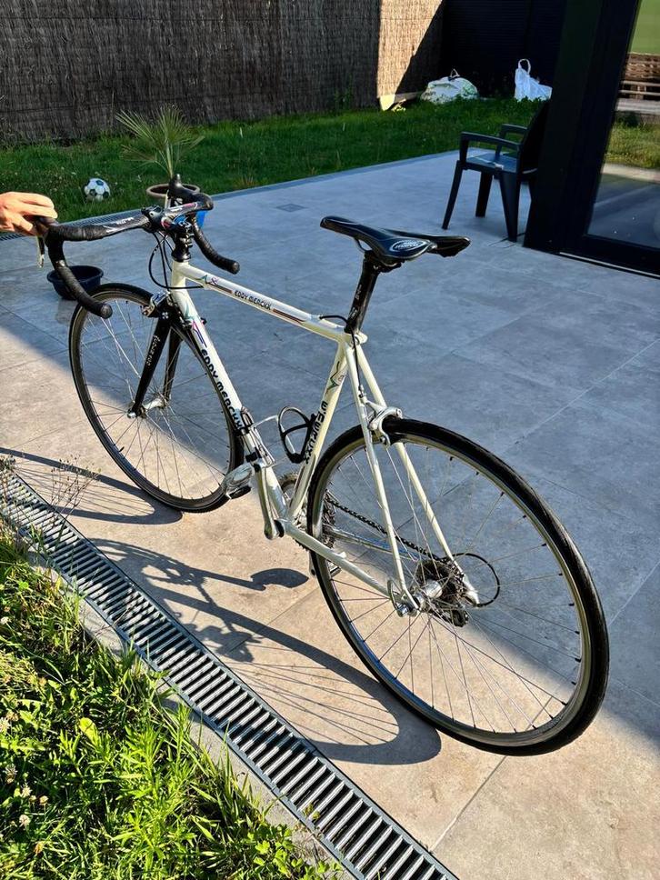 Koersfiets, Fietsen en Brommers, Fietsen | Heren | Sportfietsen en Toerfietsen, Zo goed als nieuw, Overige merken, Ophalen