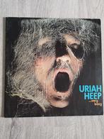 Lotje Rock vinyl, Cd's en Dvd's, Vinyl | Rock, Ophalen of Verzenden, Gebruikt, 12 inch, Progressive