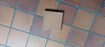 Vintage Terra Cotta vloertegel 20x20x1,5 cm. Totaal 50m2 beschikbaar voor biedingen
