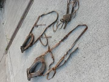 Koppel paarden garelen + 1 hoofdstel ( decoratief) beschikbaar voor biedingen