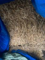 Grote pakken stro, Dieren en Toebehoren, Ophalen