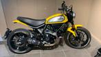 Ducati scrambler Icon 800 ABS, Motos, Motos | Ducati, Naked bike, 2 cylindres, Plus de 35 kW, 800 cm³