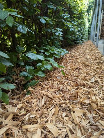 houtsnippers schors hakselhout mulch schaafling houtkrullen beschikbaar voor biedingen