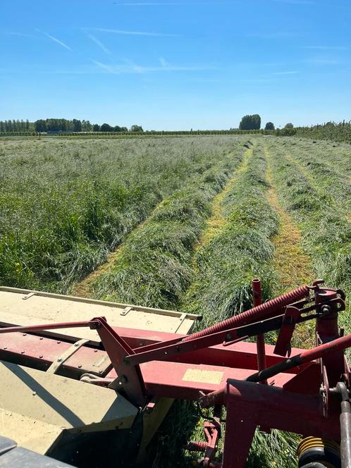 Hooi te koop, Zakelijke goederen, Landbouw | Veevoer, Ophalen