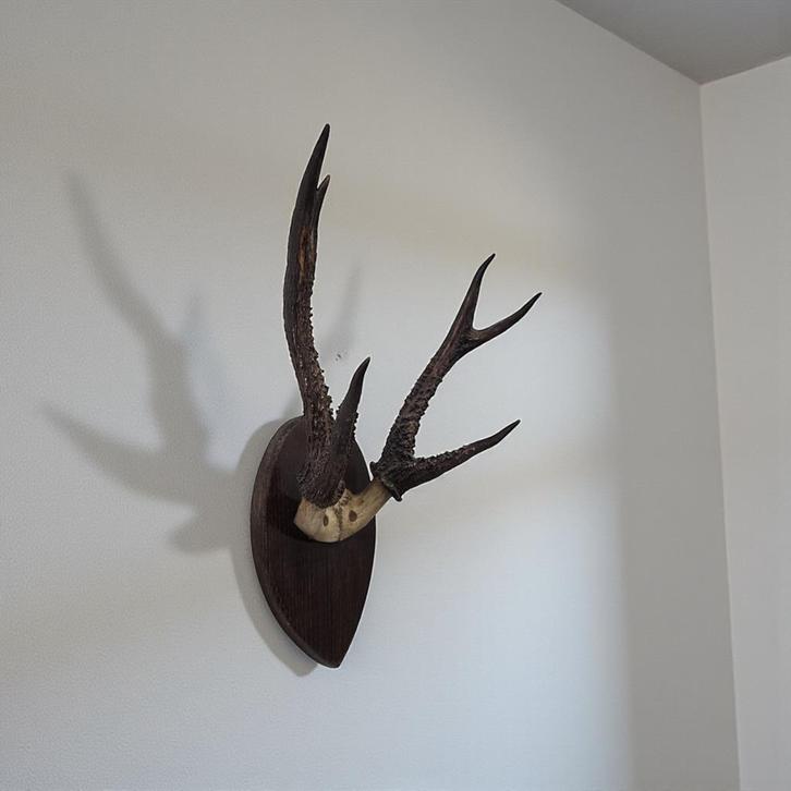 Décoration murale vintage/bois, Collections, Collections Animaux, Utilisé, Enlèvement ou Envoi