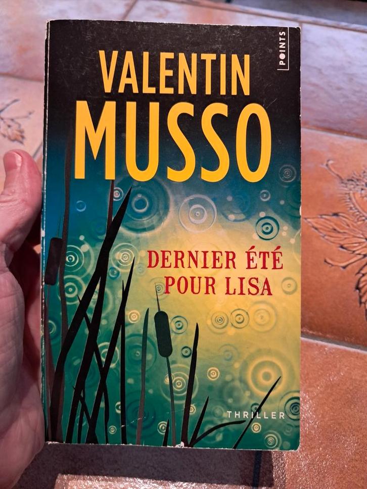 Afgelopen zomer voor Lisa - V. Musso, Boeken, Thrillers, Gelezen, Europa overig, Ophalen of Verzenden