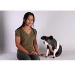 Pig Sitting Pink & Black – Varken beeld Lengte 59 cm, Ophalen, Nieuw