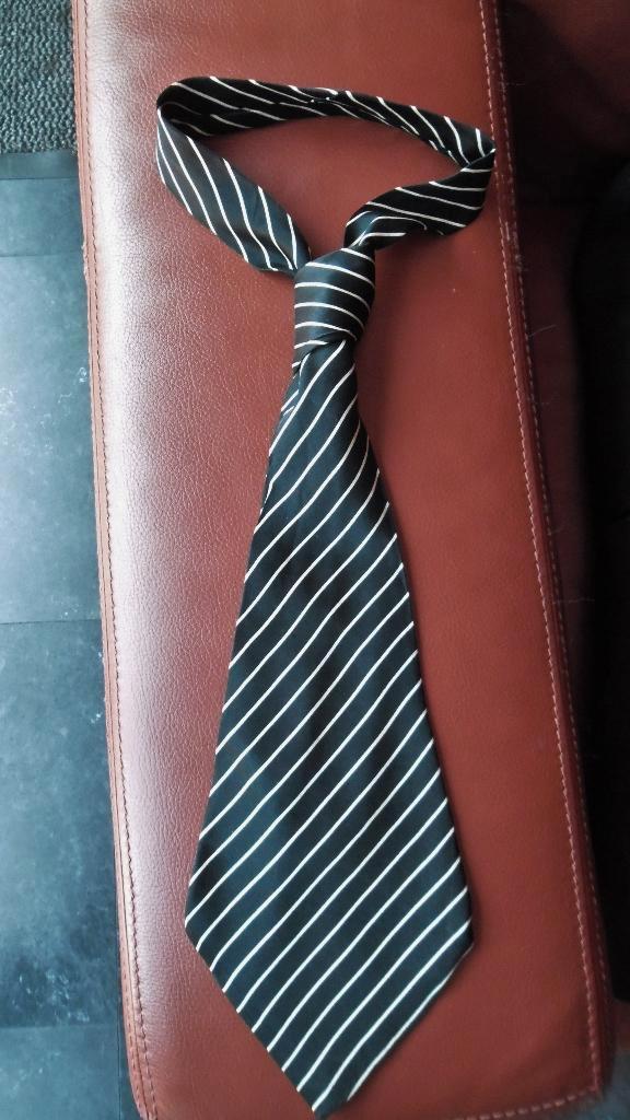 Stropdas van ZIJDE-fijn model, Kleding | Heren, Stropdassen, Zo goed als nieuw, Ophalen of Verzenden