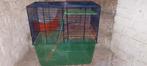 Cage pztits rongeurs, 60 tot 90 cm, Kooi, Minder dan 75 cm, Hamster