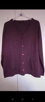 Truitje 3xl, Kleding | Dames, Grote Maten, Ophalen of Verzenden, Zo goed als nieuw