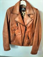Perfecto style lamsleder jasje cognac kleurig. Small, Overige kleuren, Zo goed als nieuw, Jasje, Maat 36 (S)