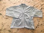 Tof gileetje van Blue Bay, bleekblauw, maat 116, Kinderen en Baby's, Kinderkleding | Maat 116, Gebruikt, Meisje, Trui of Vest
