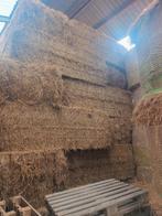 hooi, Dieren en Toebehoren, Ophalen, Vee