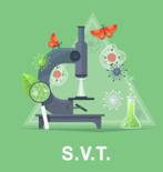 Cours particuliers, Diensten en Vakmensen, Bijles, Privé-les en Taalles, Bijles