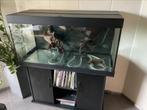Juwel 300L aquarium met onderkast, Dieren en Toebehoren, Vissen | Aquaria en Toebehoren, Ophalen, Gebruikt, Leeg aquarium