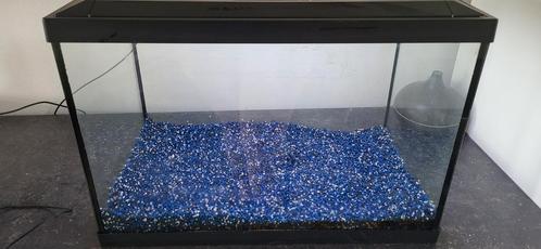 Aquarium, Dieren en Toebehoren, Vissen | Aquaria en Toebehoren, Zo goed als nieuw, Ophalen