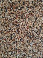 Kanarie Supréme ( Witte Perilla ) 20kg - Hobbyfarm Hoebregts, Dieren en Toebehoren, Ophalen of Verzenden, Vogel