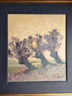 Jos De Wil 1972 Het Vergeten Land van Saeftingen, Antiek en Kunst, Ophalen of Verzenden