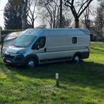 Le mot WANTED a été volé, Autos, Particulier, Achat