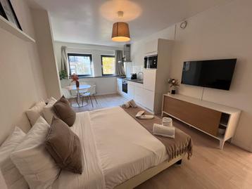 Appartement à louer à Bruxelles, 1 chambre disponible aux enchères