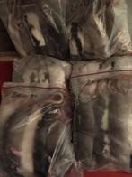 diepvries ratten van 200 gr, Dieren en Toebehoren, Vogels | Overige Vogels, Roofvogel