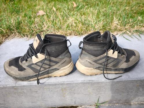 Adidas Terex Stapschoenen maat 36, Sport en Fitness, Bergsport en Wandelen, Zo goed als nieuw, Schoenen, Ophalen