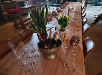 XXXX.....XXL boomstam tafel, Ophalen, Zo goed als nieuw