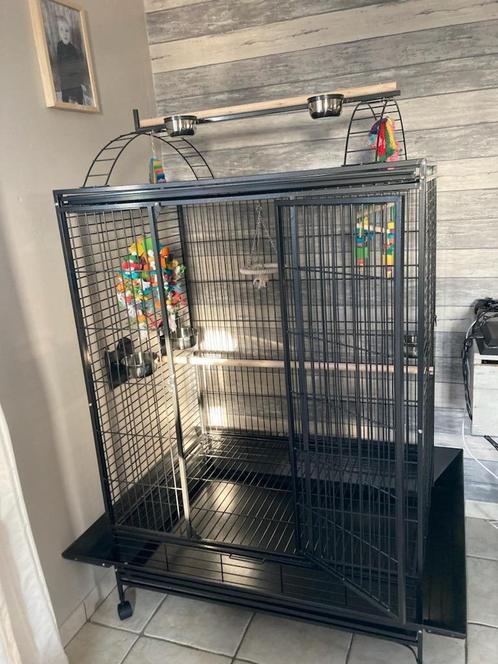 Cage perroquet XXL cage ara cacatoes gris du gabon NEUF, Dieren en Toebehoren, Vogels | Hokken en Kooien, Nieuw, Overige typen