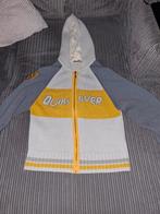 Vest quiksilver maat Large (winkelprijs 199 euro), Kleding | Heren, Ophalen of Verzenden