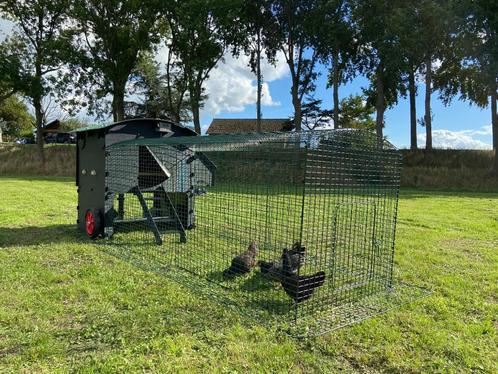 kunststof kippenhok nestera verhoogd large + 3 meter ren, Dieren en Toebehoren, Pluimvee | Toebehoren, Nieuw, Kippenhok of Kippenren