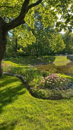 Service jardinage - Arrosage & Nettoyage jardin terrasse, Envoi, Neuf