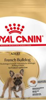 Sac Royal Canin 9kg bouledogue français. Neuf et fermé, Dieren en Toebehoren, Dierenvoeding, Hond