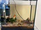 Aquarium + vissen, Dieren en Toebehoren, Ophalen, Zo goed als nieuw