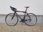 Colnago Koersfiets Carbon, Sports & Fitness, Cyclisme, Comme neuf, Autres types, Enlèvement