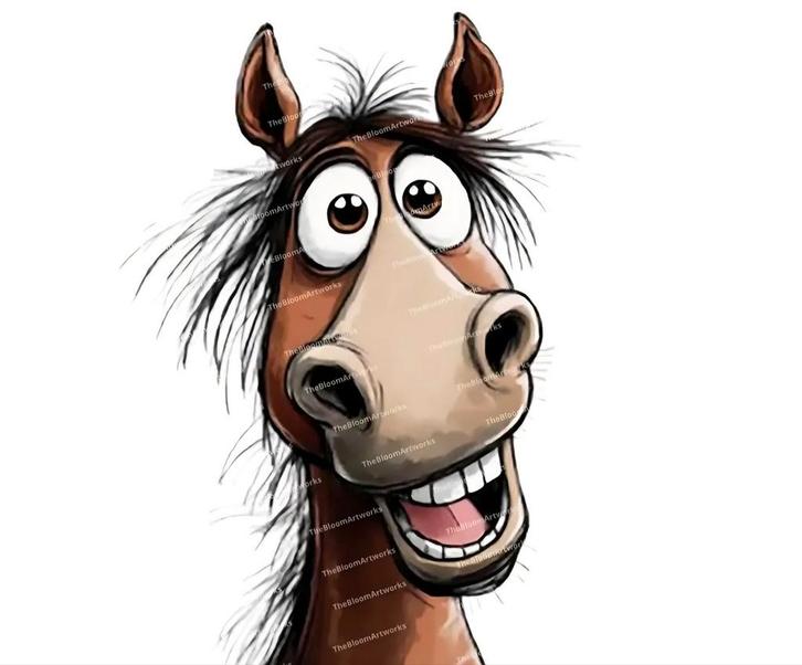 Gezocht adoptiepaardje bomproof, Dieren en Toebehoren, Paarden